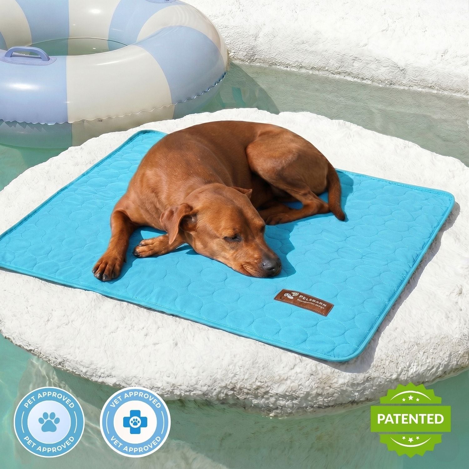 Dog Cooling Mat