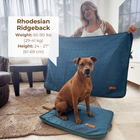 Dog Cooling Mat