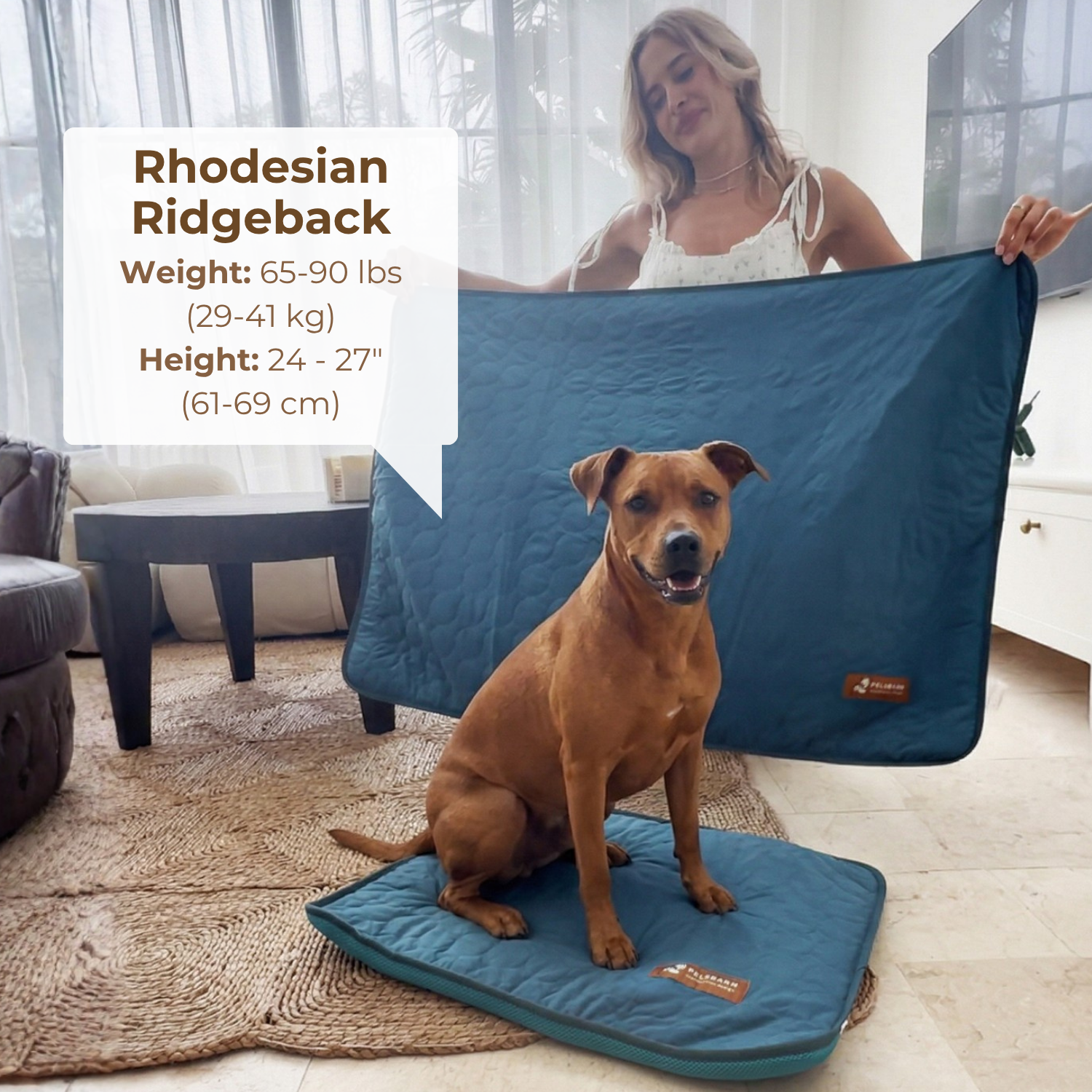 Dog Cooling Mat