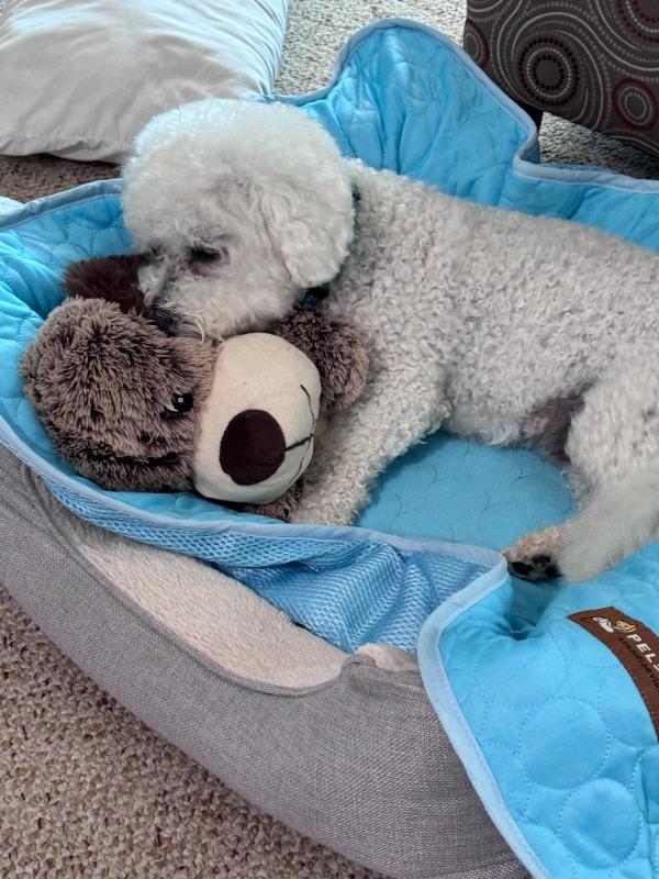 Cooper