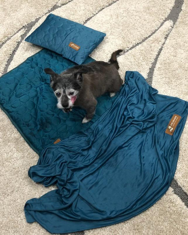 Zoey