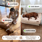 Dog Cooling Mat